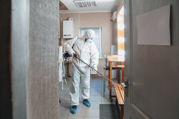 Best Black Mold Removal  in Holiday Island, AR